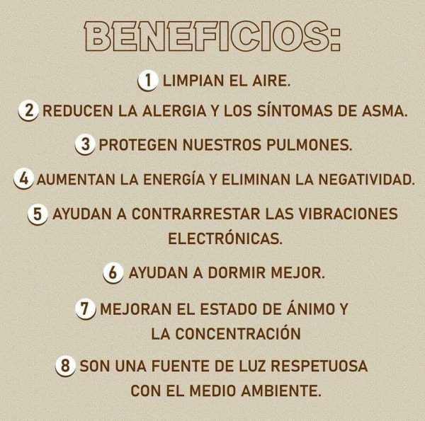 Lámpara de Sal del Himalaya - Image 12